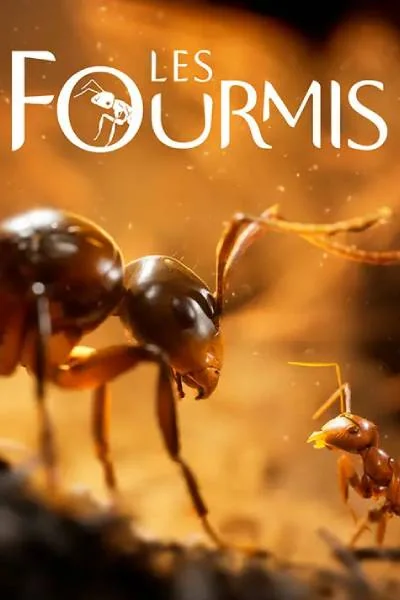 Les Fourmis